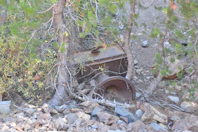 DSC_7850 (Large).JPG